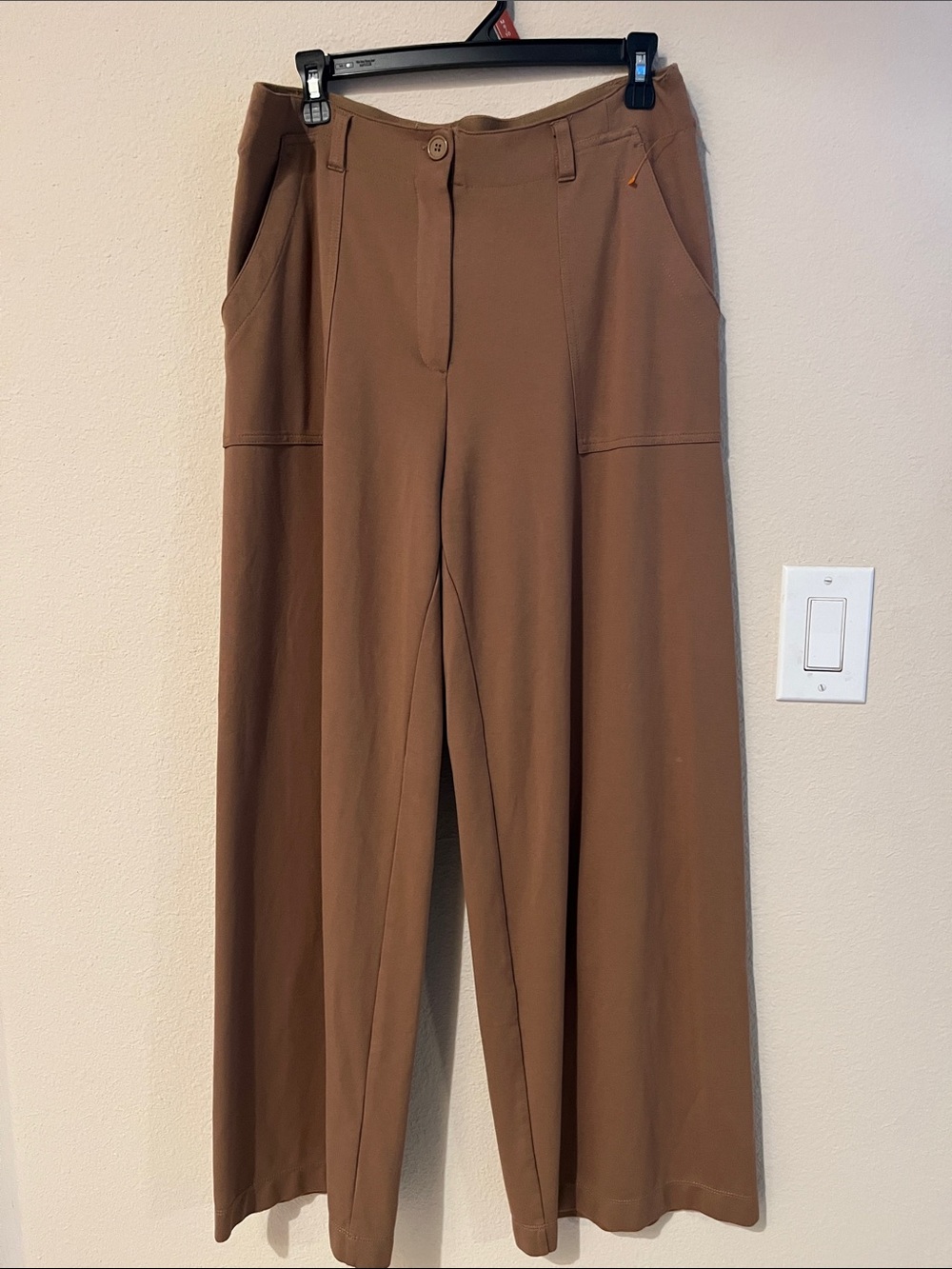 Max Studio Wide-Leg Pants in Brown